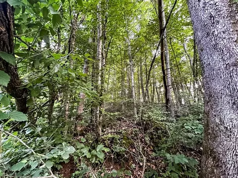 0 Moores Gap Rd, Heiskell, TN 37754 photo 15