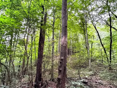 0 Moores Gap Rd, Heiskell, TN 37754 photo 19