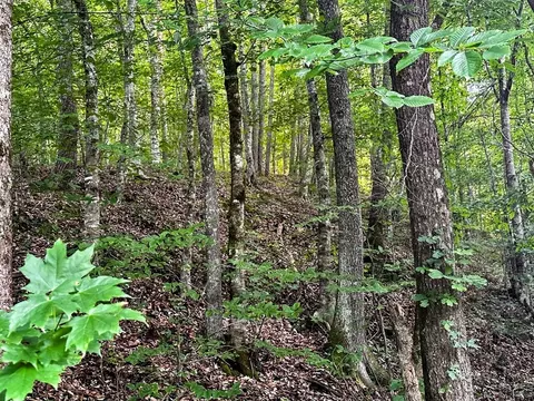 0 Moores Gap Rd, Heiskell, TN 37754 photo 7