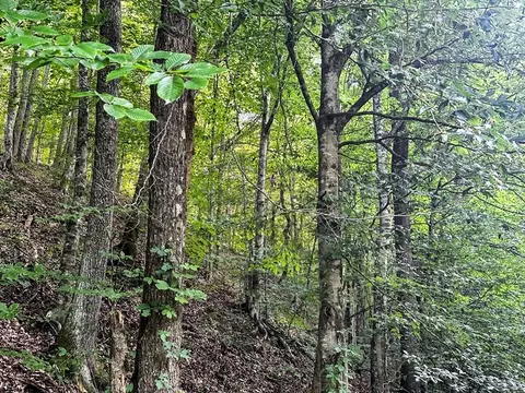 0 Moores Gap Rd, Heiskell, TN 37754 photo 8