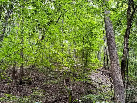 0 Moores Gap Rd, Heiskell, TN 37754 photo 18
