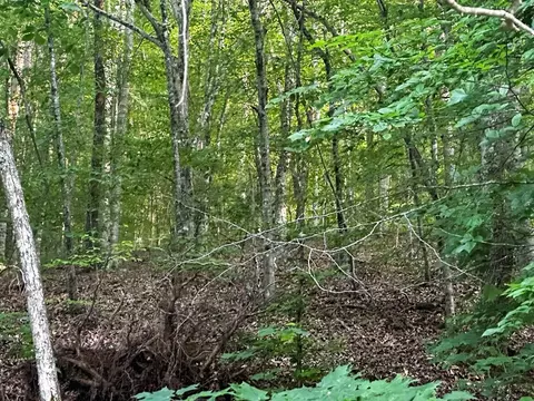 0 Moores Gap Rd, Heiskell, TN 37754 photo 6