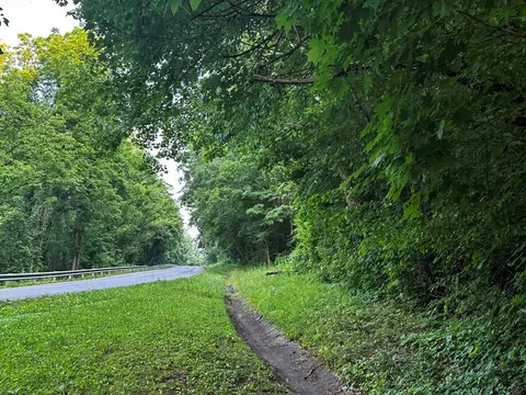 0 Moores Gap Rd, Heiskell, TN 37754 photo 9