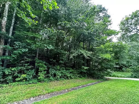 0 Moores Gap Rd, Heiskell, TN 37754 photo 25