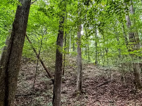 0 Moores Gap Rd, Heiskell, TN 37754 photo 20