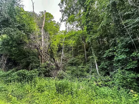 0 Moores Gap Rd, Heiskell, TN 37754 photo 10