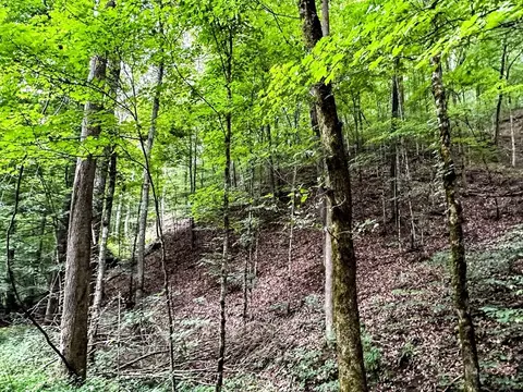 0 Moores Gap Rd, Heiskell, TN 37754 photo 21