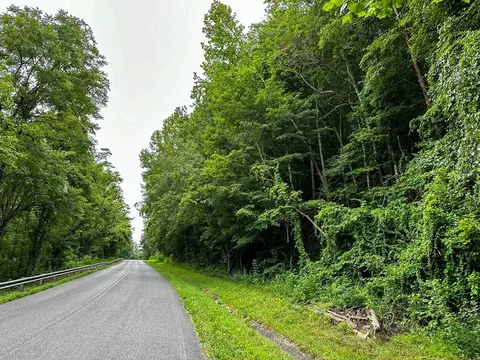 0 Moores Gap Rd, Heiskell, TN 37754 photo 23