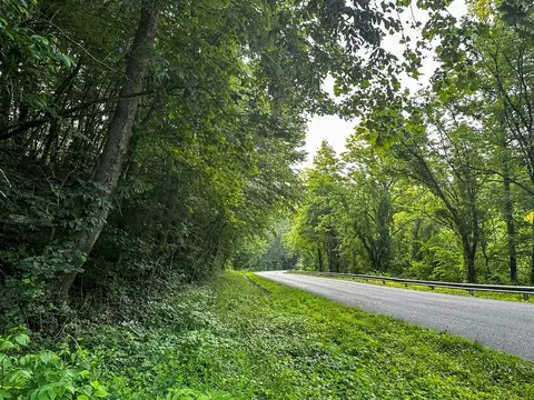 0 Moores Gap Rd, Heiskell, TN 37754 photo 11