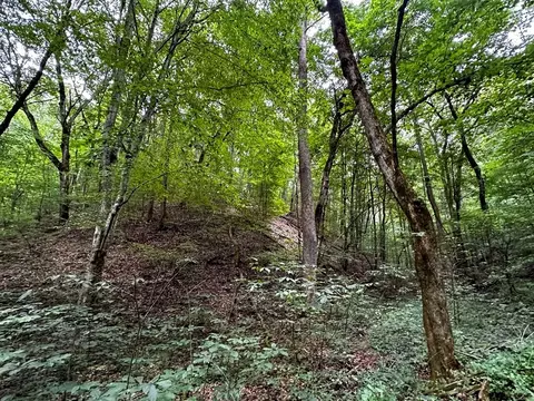 0 Moores Gap Rd, Heiskell, TN 37754 photo 17