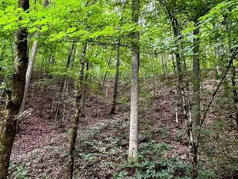 0 Moores Gap Rd, Heiskell, TN 37754 photo 22