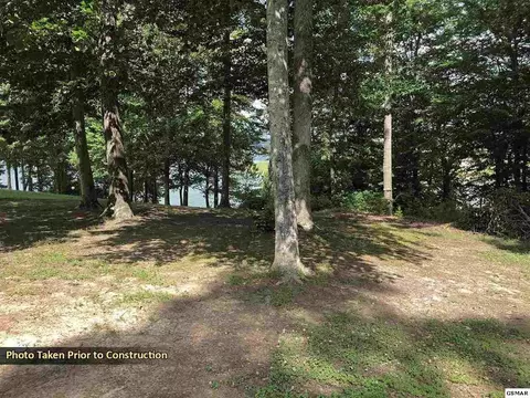 350 Devon Way Rd, White Pine, TN 37890 photo 14