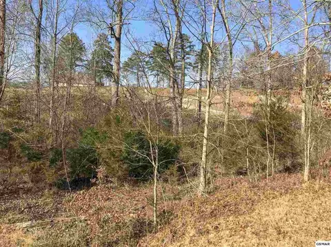 2273 Boat Dock Rd, Talbott, TN 37877 photo 8