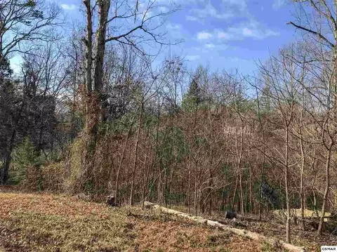 2273 Boat Dock Rd, Talbott, TN 37877 photo 7