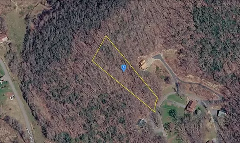 226 Black Bear Rdg, Roan Mountain, TN 37687