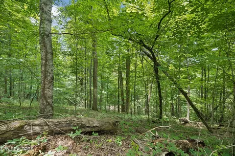 Exterior - 0 Knob Rd, Rutledge, TN 37861 photo 14 of 27
