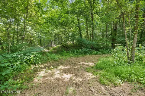 Exterior - 0 Knob Rd, Rutledge, TN 37861 photo 6 of 27