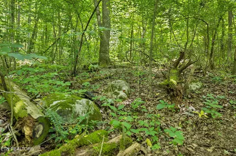 Exterior - 0 Knob Rd, Rutledge, TN 37861 photo 20 of 27