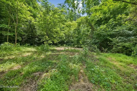 Exterior - 0 Knob Rd, Rutledge, TN 37861 photo 9 of 27