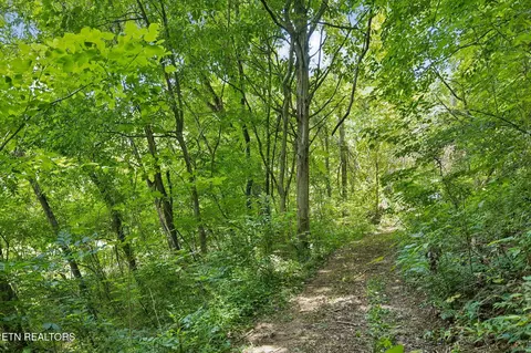 Other - 0 Knob Rd, Rutledge, TN 37861 photo 5 of 9