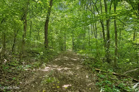 Other - 0 Knob Rd, Rutledge, TN 37861 photo 4 of 9