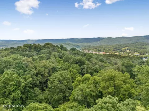 View/Area - 0 Knob Rd, Rutledge, TN 37861 photo 7 of 10