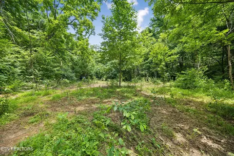 Exterior - 0 Knob Rd, Rutledge, TN 37861 photo 10 of 27