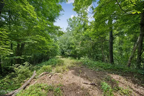 Exterior - 0 Knob Rd, Rutledge, TN 37861 photo 15 of 27