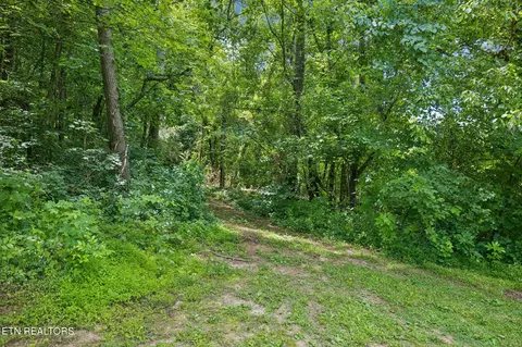 Exterior - 0 Knob Rd, Rutledge, TN 37861 photo 22 of 27
