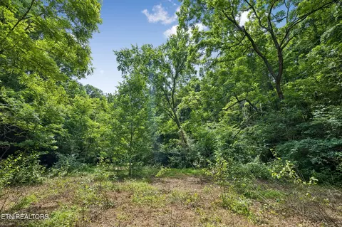 Exterior - 0 Knob Rd, Rutledge, TN 37861 photo 13 of 27