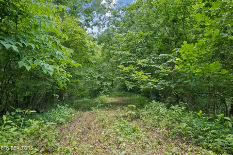 Exterior - 0 Knob Rd, Rutledge, TN 37861 photo 17 of 27