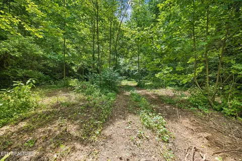 Exterior - 0 Knob Rd, Rutledge, TN 37861 photo 11 of 27