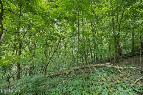 Exterior - 0 Knob Rd, Rutledge, TN 37861 photo 16 of 27