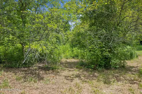 Other - 0 Knob Rd, Rutledge, TN 37861 photo 3 of 9