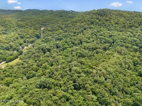 View/Area - 0 Knob Rd, Rutledge, TN 37861 photo 2 of 10