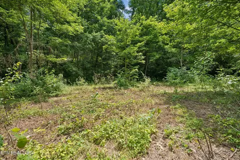 Exterior - 0 Knob Rd, Rutledge, TN 37861 photo 8 of 27