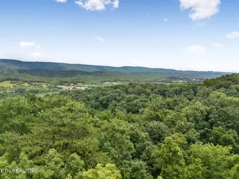 Other - 0 Knob Rd, Rutledge, TN 37861 photo 8 of 9