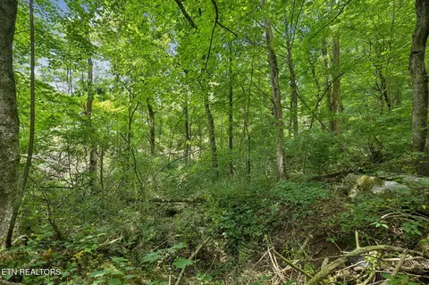 Exterior - 0 Knob Rd, Rutledge, TN 37861 photo 18 of 27
