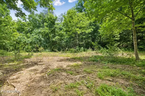 Exterior - 0 Knob Rd, Rutledge, TN 37861 photo 4 of 27