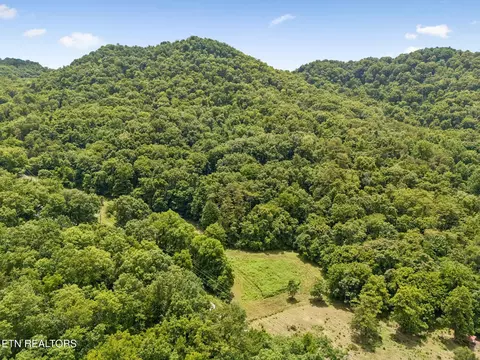 Other - 0 Knob Rd, Rutledge, TN 37861 photo 7 of 9