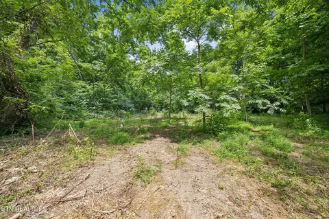 Exterior - 0 Knob Rd, Rutledge, TN 37861 photo 12 of 27