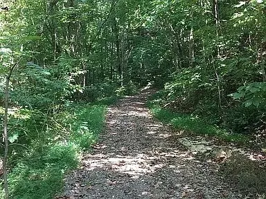 Other - 175 Dillon Rd, Baxter, TN 38544 photo 5 of 5