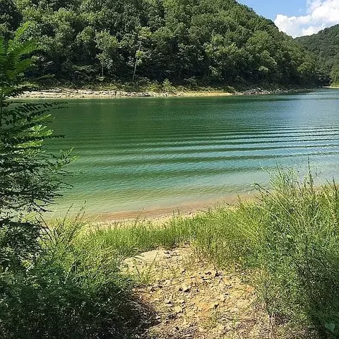 View/Area - 175 Dillon Rd, Baxter, TN 38544 photo 3 of 6