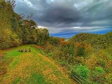 View/Area - 175 Dillon Rd, Baxter, TN 38544 photo 2 of 6