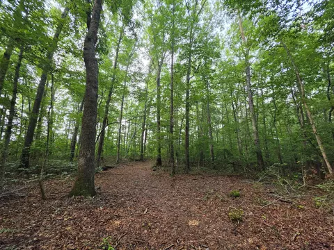 1 Adams Rd, Tracy City, TN 37387