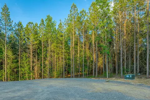 0 Back Basin Trl, Guild, TN 37340 photo 46