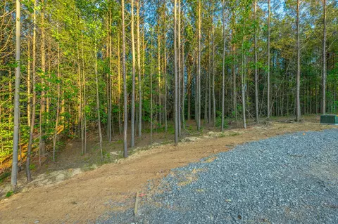 0 Back Basin Trl, Guild, TN 37340 photo 42