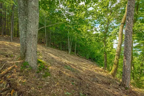 0 Back Basin Trl, Guild, TN 37340 photo 32