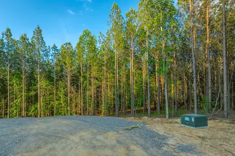 0 Back Basin Trl, Guild, TN 37340 photo 7