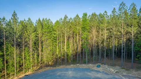 0 Back Basin Trl, Guild, TN 37340 photo 49